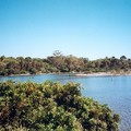 Lac sur Ile de Lérins [800x600]