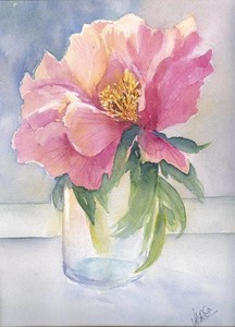 pivoine